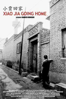 小贾回家 海报