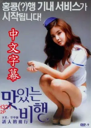 飞行中的艳遇：浪漫喜剧的升级，高空邂逅的甜蜜与惊险