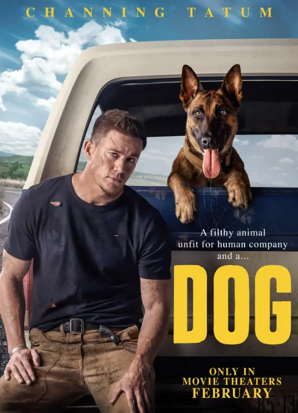 《狗》：退役军犬与士兵的公路疗伤之旅，忠诚与救赎能否治愈战争创伤？