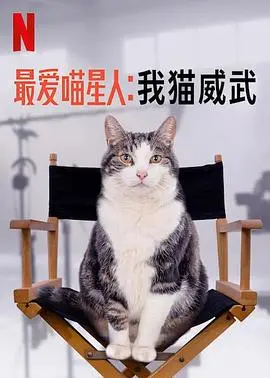逗趣猫咪的冒险之旅：为什么《最爱喵星人：我猫威武》让猫奴们笑中带泪？