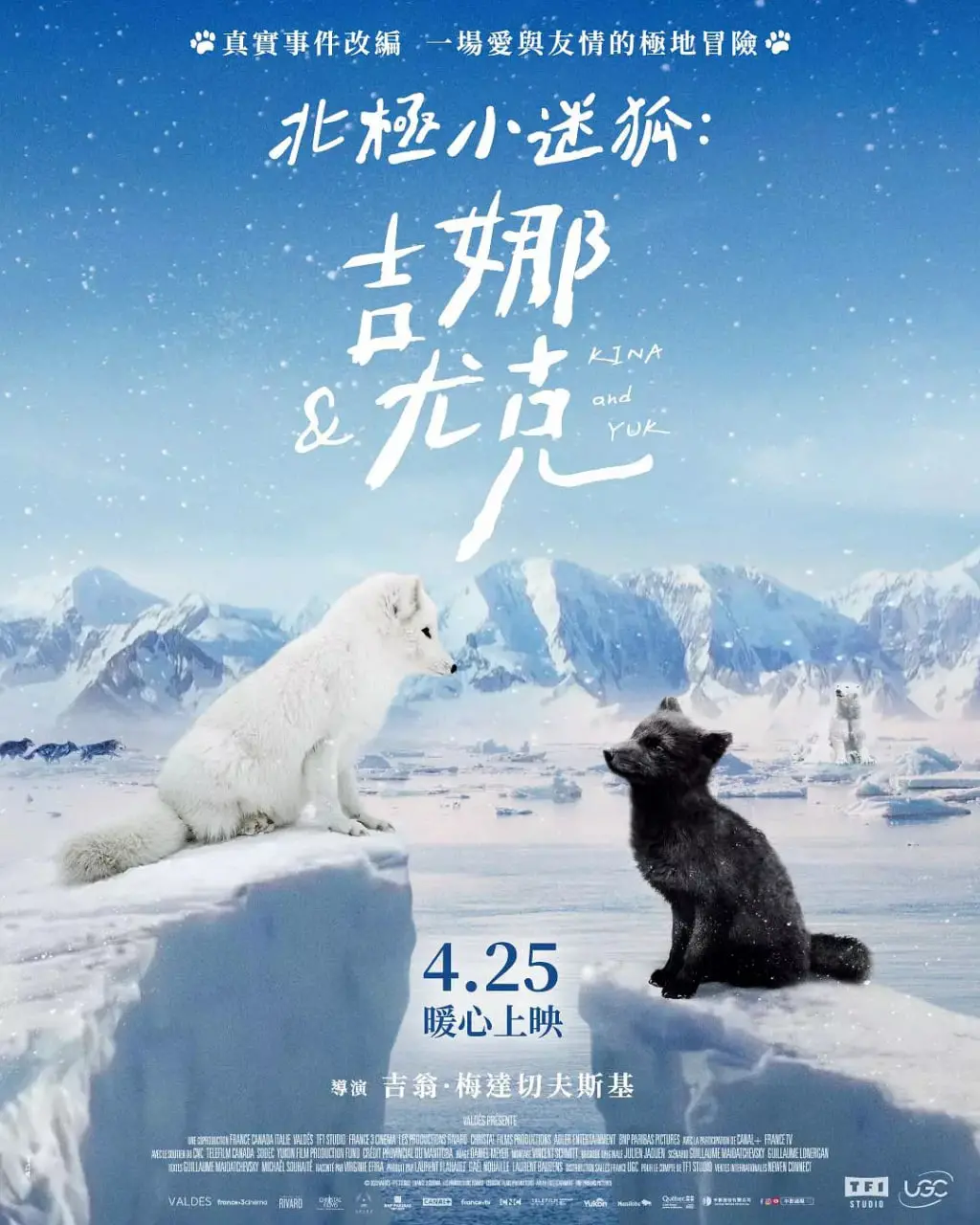 《北极小迷狐吉娜，尤克》：一场治愈心灵的北极冒险之旅，感受生命最初的纯真与美好